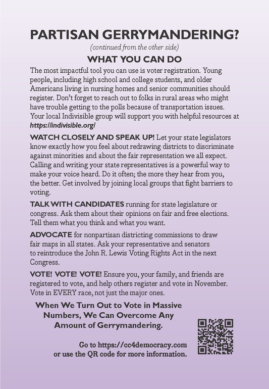 Card 36: Gerrymandering (pack of 10)